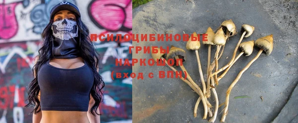 стафф Абаза