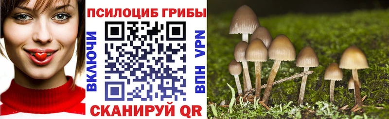 Псилоцибиновые грибы мицелий  хочу   Вичуга 