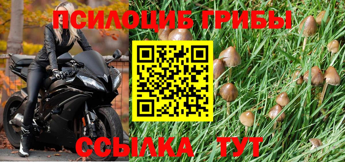 Галлюциногенные грибы мицелий Вичуга